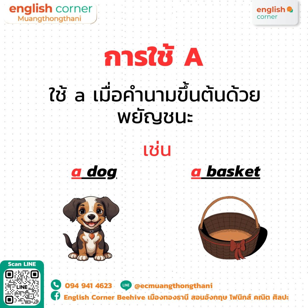 การใช้ A ใช้ a เมื่อคำนามขึ้นต้นด้วยพยัญชนะ เช่น a dog, a basket