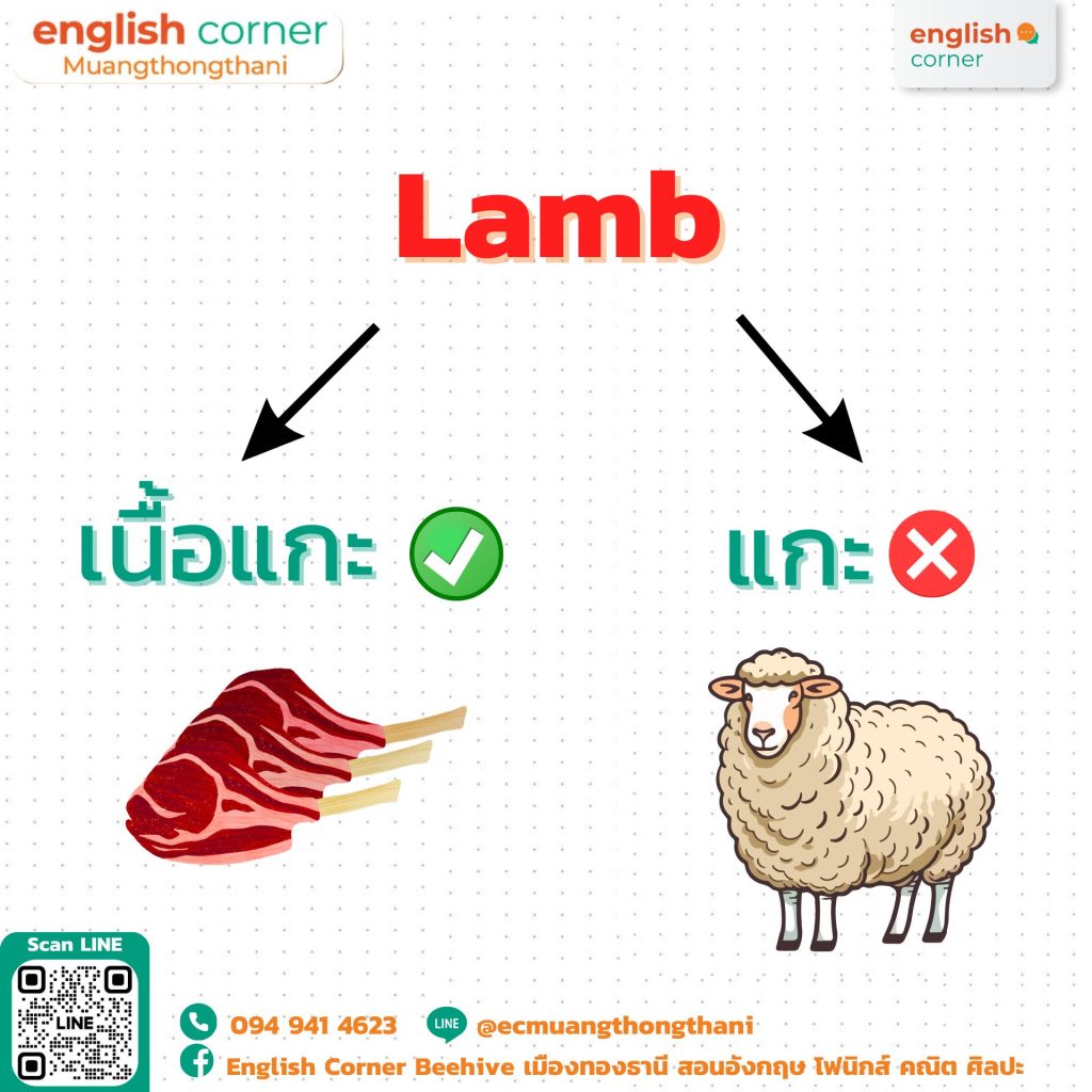 เนื้อแกะ Lamb