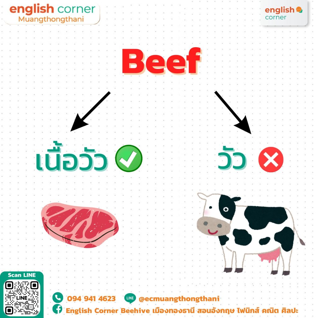 เนื้อวัว Beef