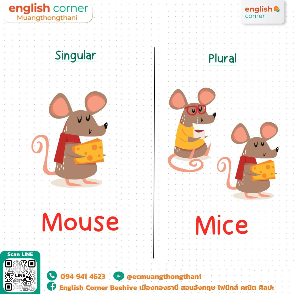 การจำคำนามพหูพจน์ที่เปลี่ยนรูปไม่ปกติ